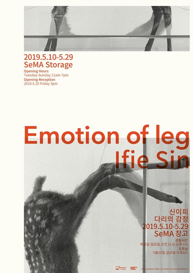 신이피, 신이피 개인전 <다리의 감정> 포스터, 서울시립미술관 제공.