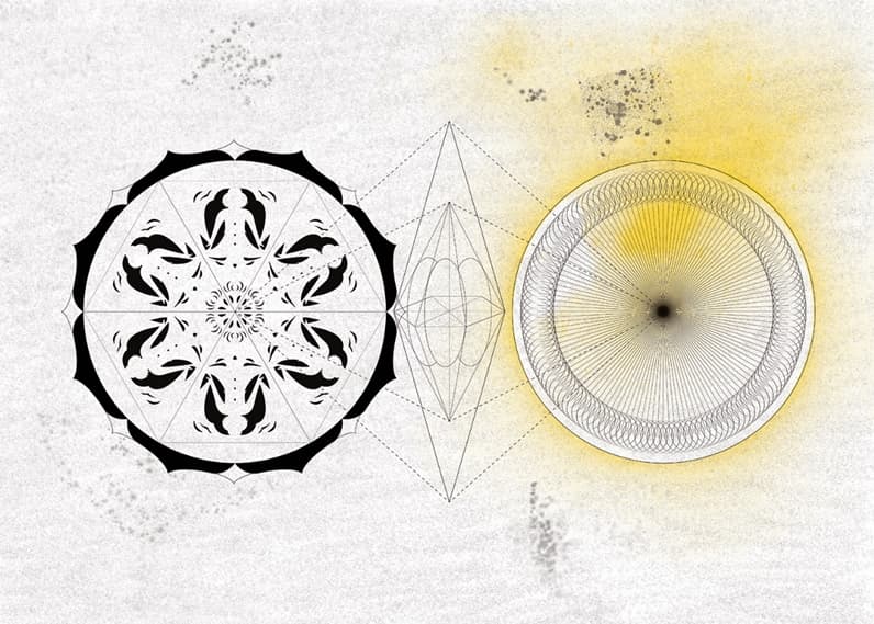 조은지 + 앨리스, 머드 블러썸, 2015, 종이에 디지털프린트, 가변크기