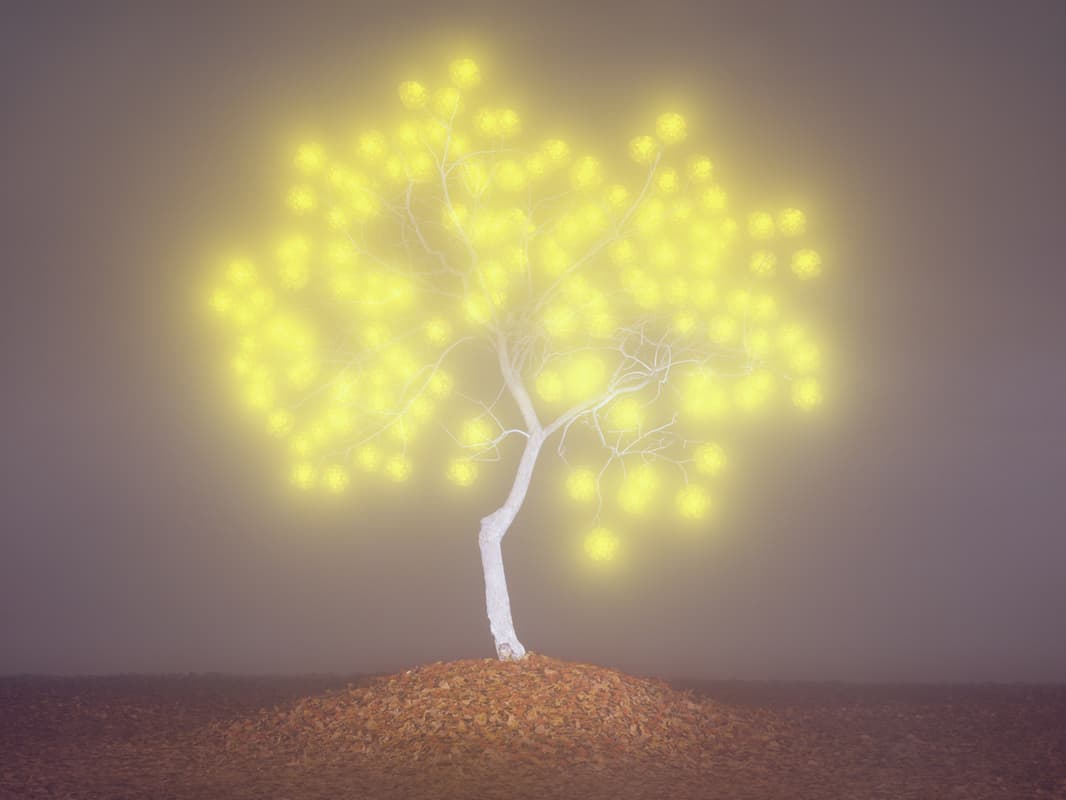 이정록(Jeong Lok Lee)_Tree of life #2-6_pigment print_120x160cm_2009