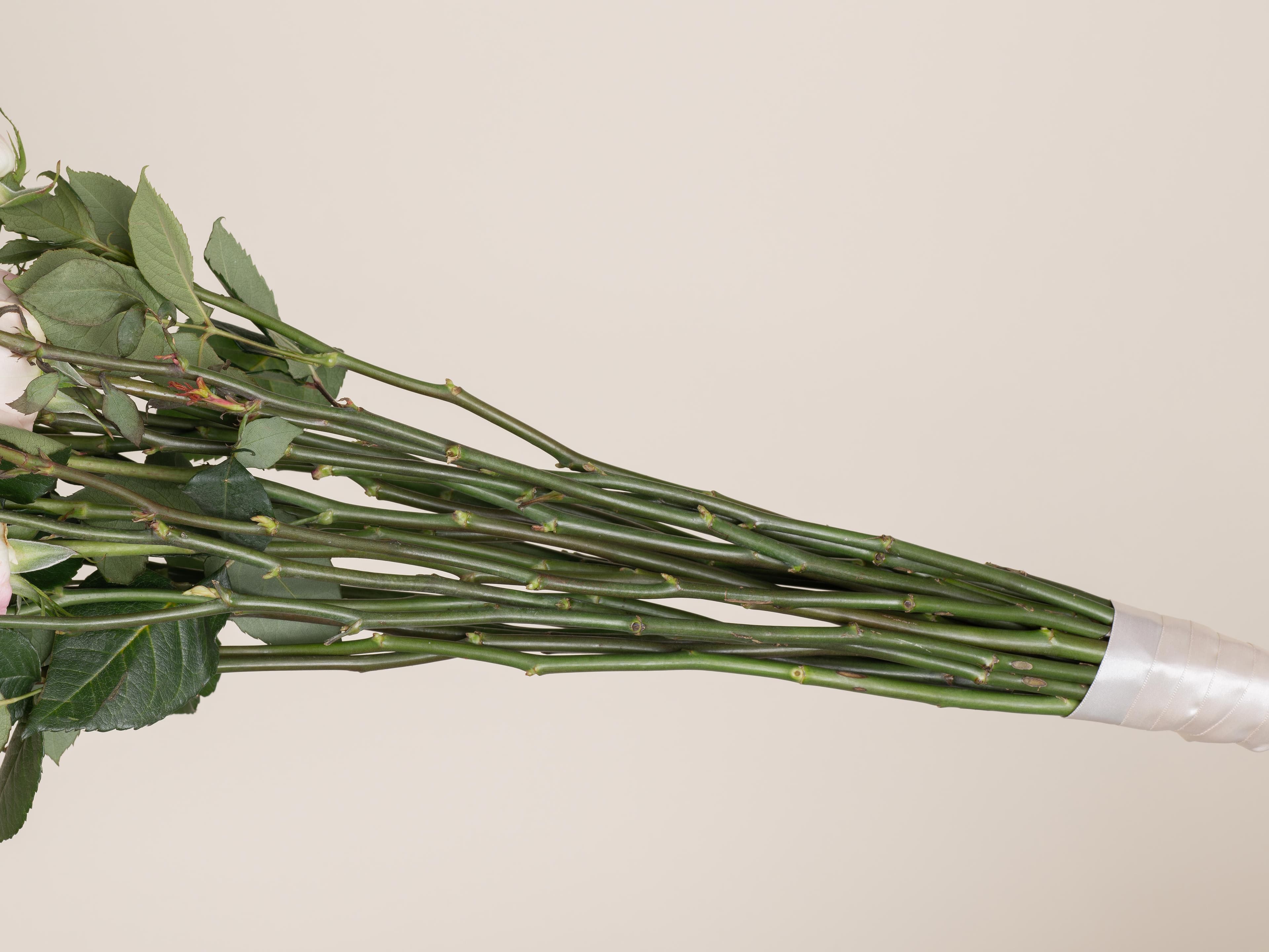 <Bouquet clutch> Archival pigment print, 45x60cm, 2022