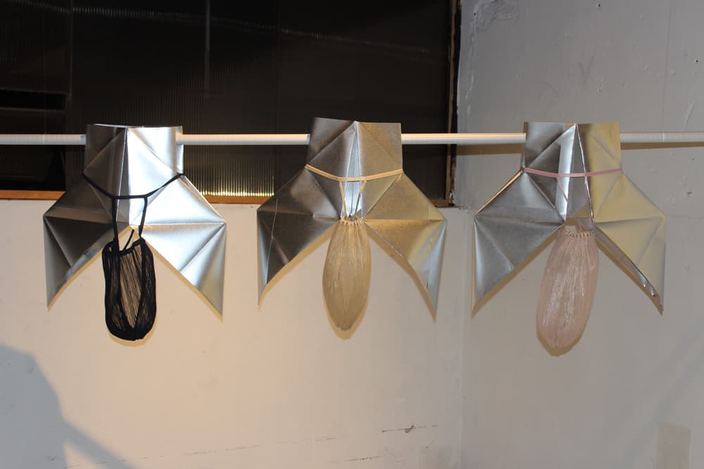 페호 속옷설치, 2015
