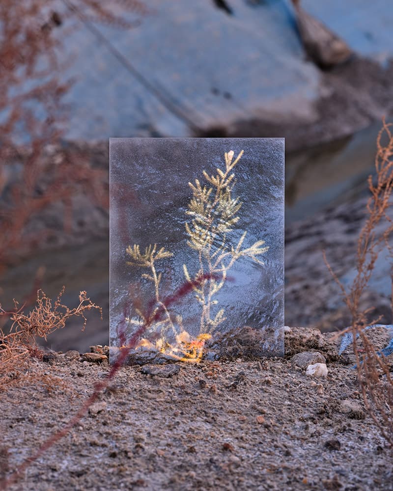 Overlayer #10, 2020, Pigment Print, 104 x 130cm