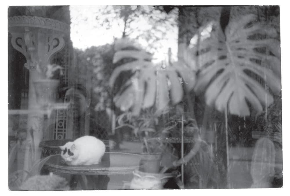 파리, 1945 ⓒ앙리 카르티에-브레송/매그넘 포토스 Paris, 1945 ⓒHenri Cartier-Bresson/Magnum Photos