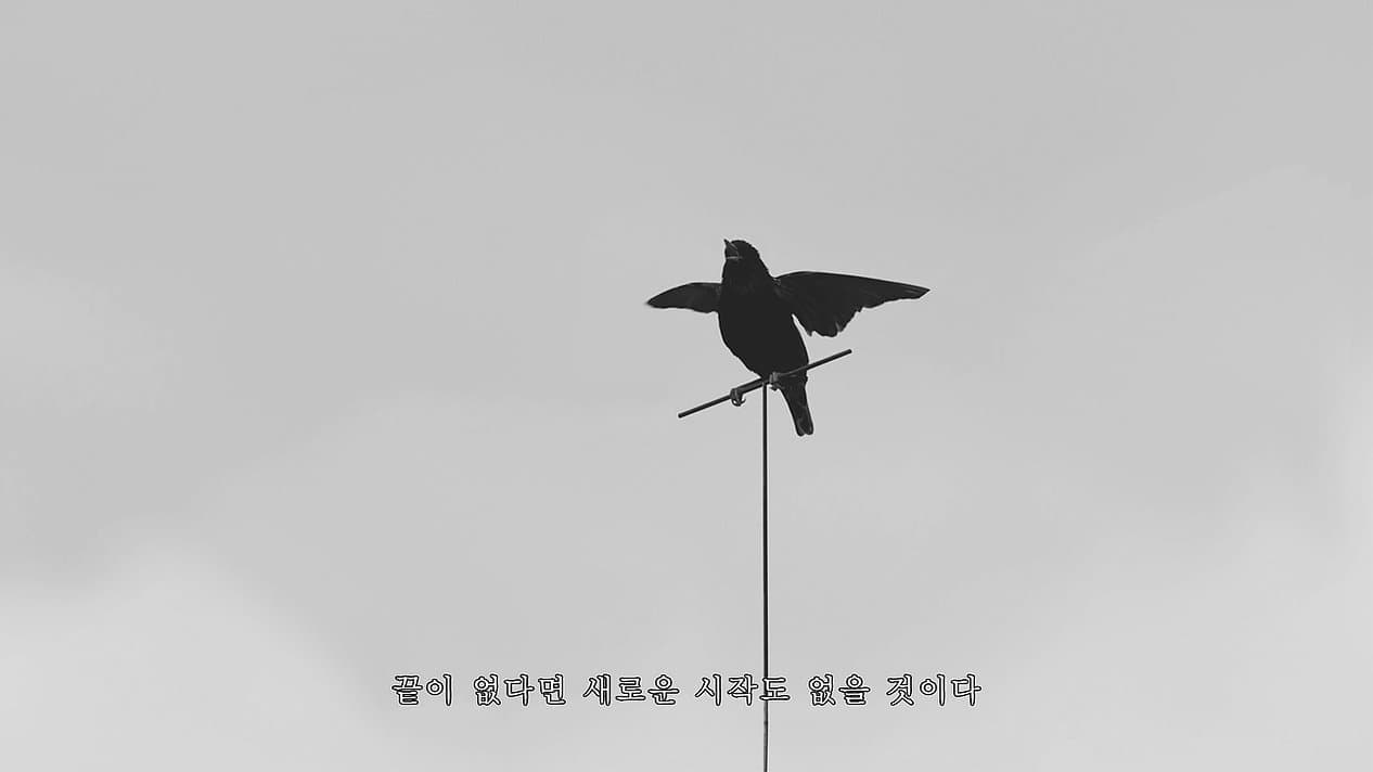 권도연, 가능한세계, 영상 도큐멘테이션, 3분3초, 2020