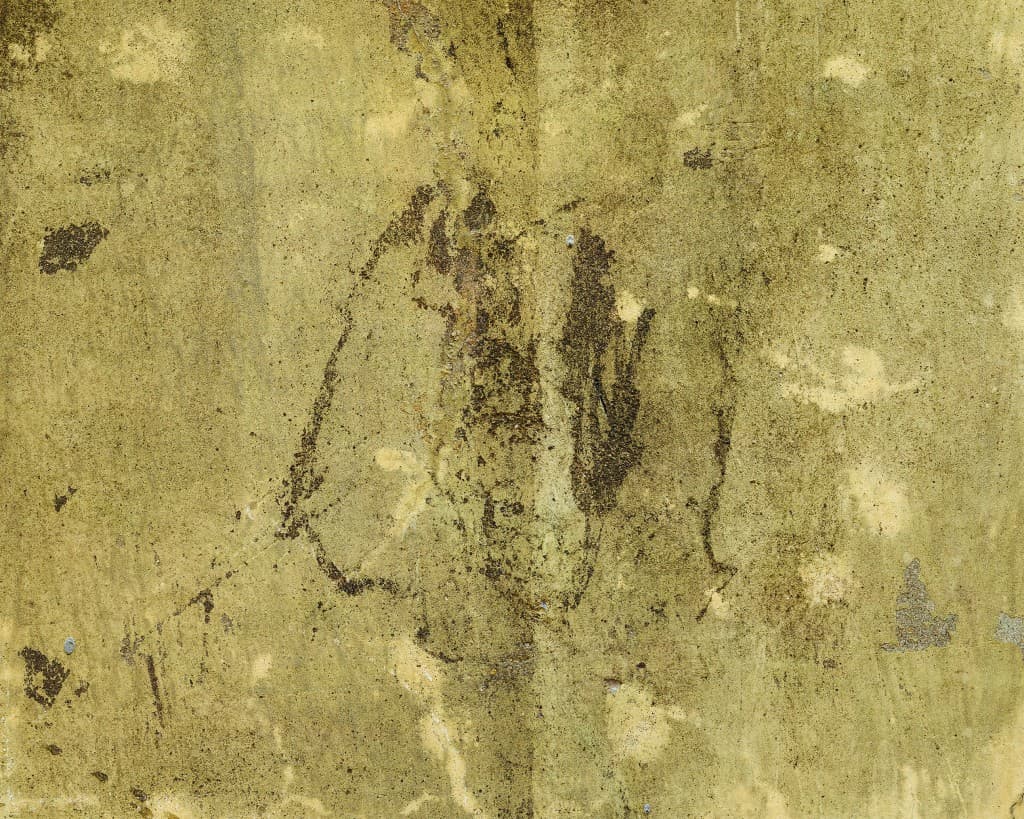 Beings_100347