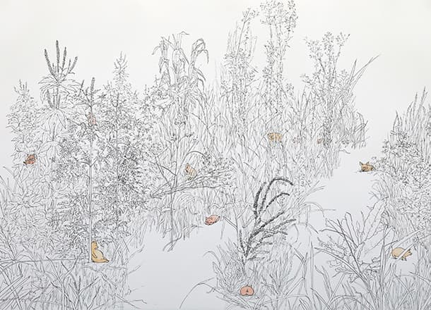 김제민_몽유돈원도_2018_BFK 종이에 아카이벌 잉크, 수채_75.3x106cm