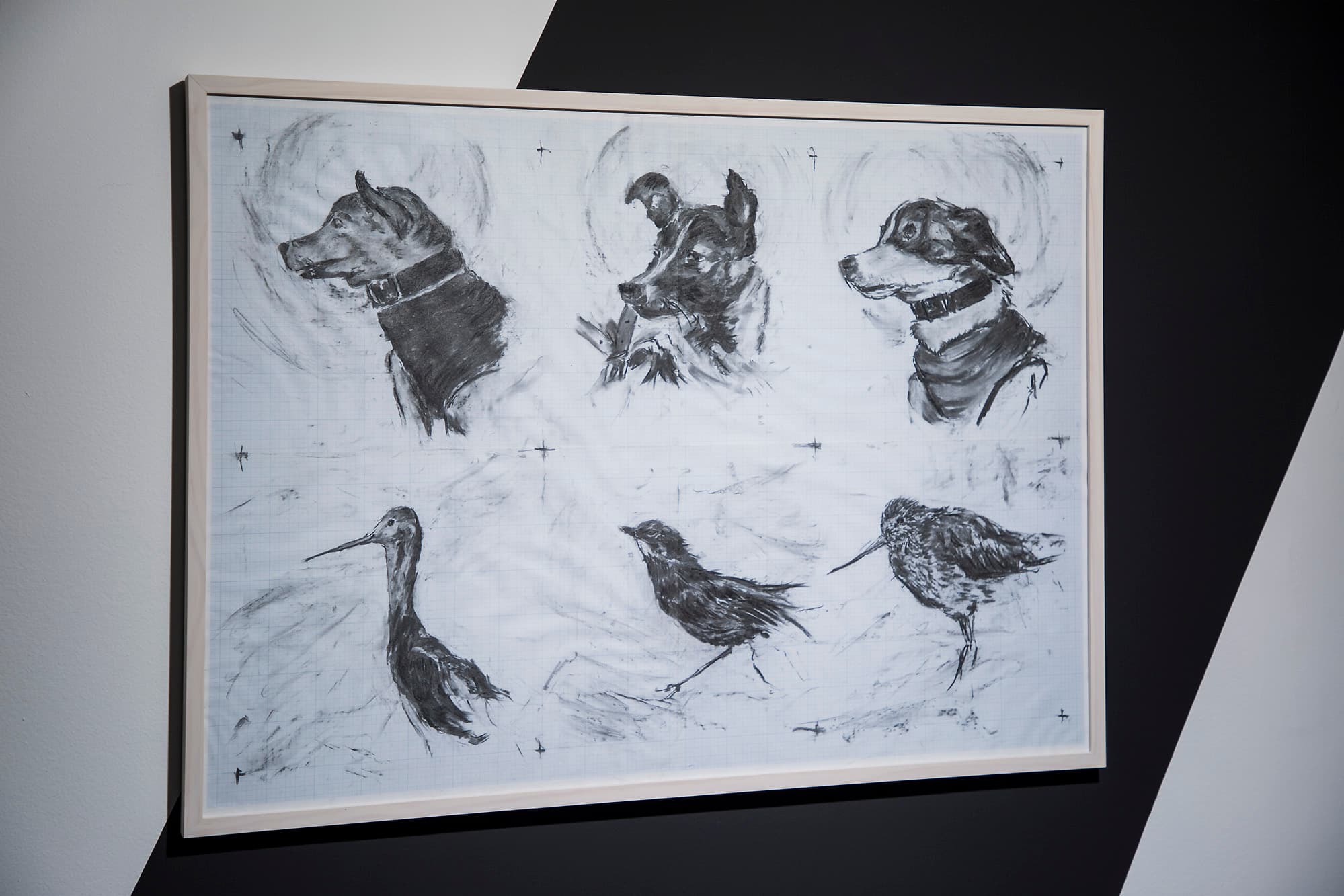 최대진, 벨카, 라이카, 스트렐카 그리고 이름없는 새마리 철새들 / Belka, Laika, Strelka and nameless 3 migrotary birds, 2019, 모눈 종이에 목탄 / Charcoal on graph paper, 74 x 105cm