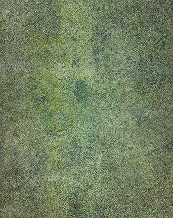 허수영, 잔디2, 2016. 캔버스에 유채, 227×182cm
