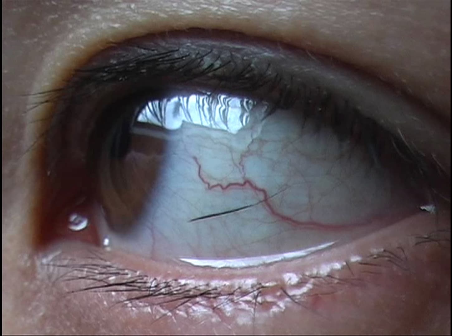 안정윤, 공화국 찬가, 2009, 4'46", Video, Color, Sound Courtesy of the artist