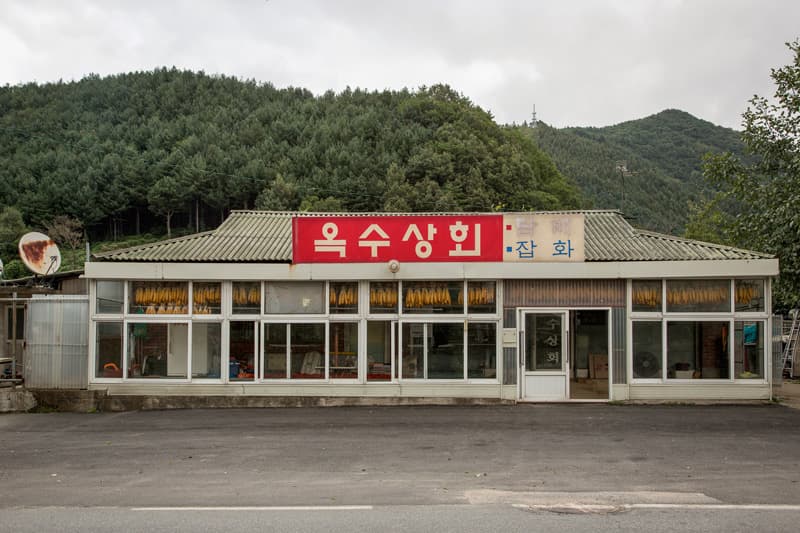 이상임. 인제.