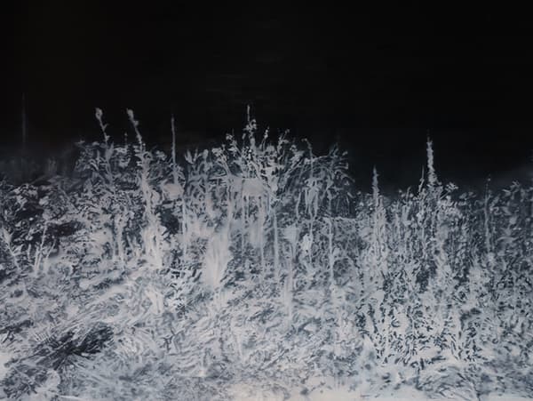 박지수, Monologue landscapes I, oil on canvas, 193.9x259.1cm, 2017