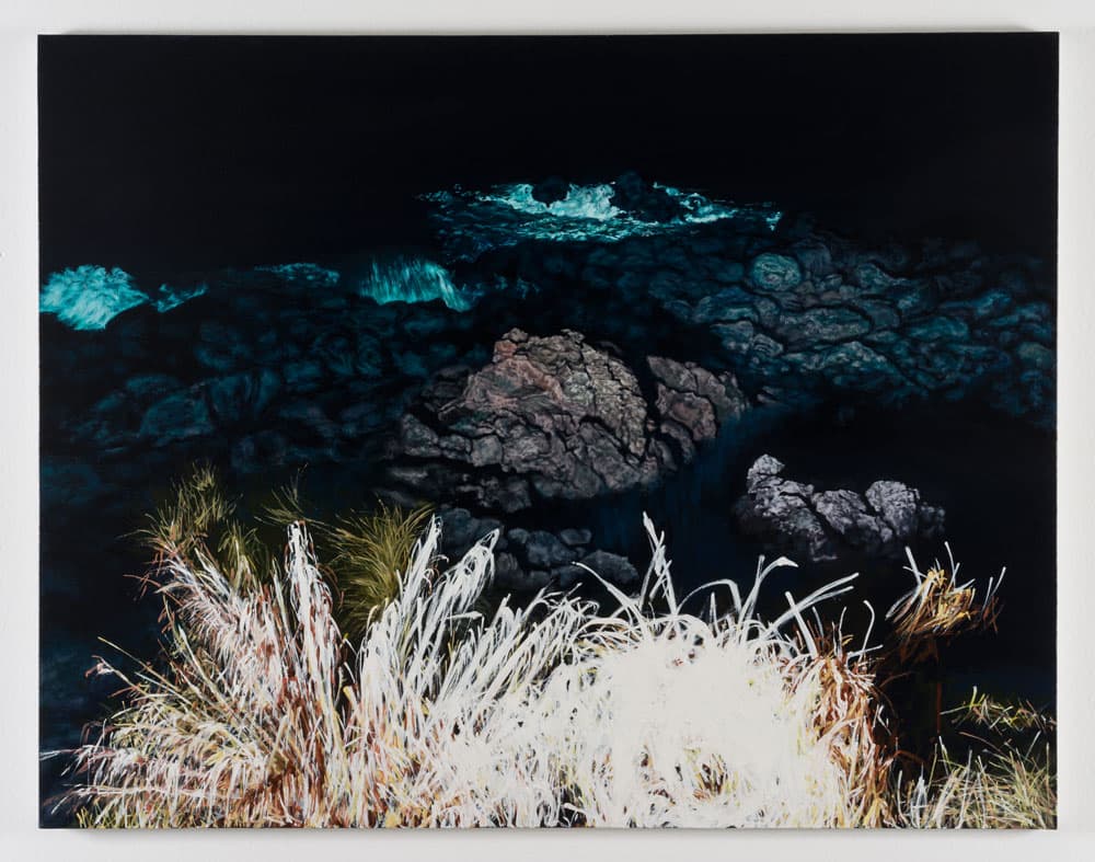 I know that you know that I know, 2013 oil on canvas, 91×116.8 cm