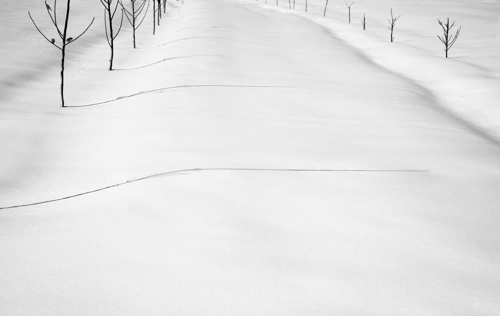 Abbas Kiarostami, Snow No.35, 57 x 90 cm, Digital print on rag paper, 2002 이미지제공 : 소울아트스페이스