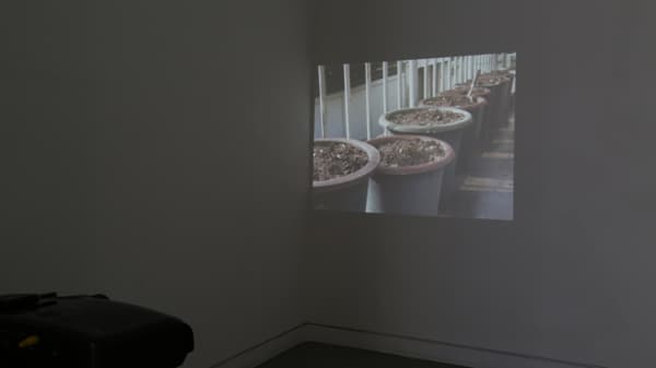 Installation View of Jjockbang Project, ha cha youn Solo Exhibition, Corner Art Space _ photographed by Onejoon Che