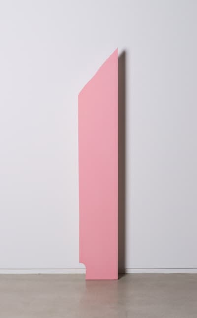 이정배, Thin Pink 얇은 분홍 2016 24.8X5X150(h)cm  resin, urethane paint
