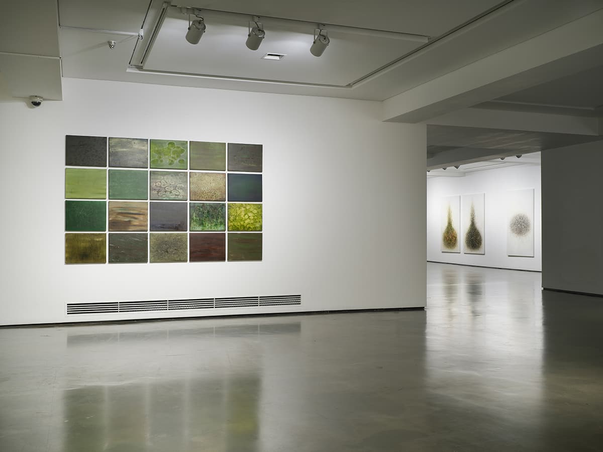 전시전경, oci미술관