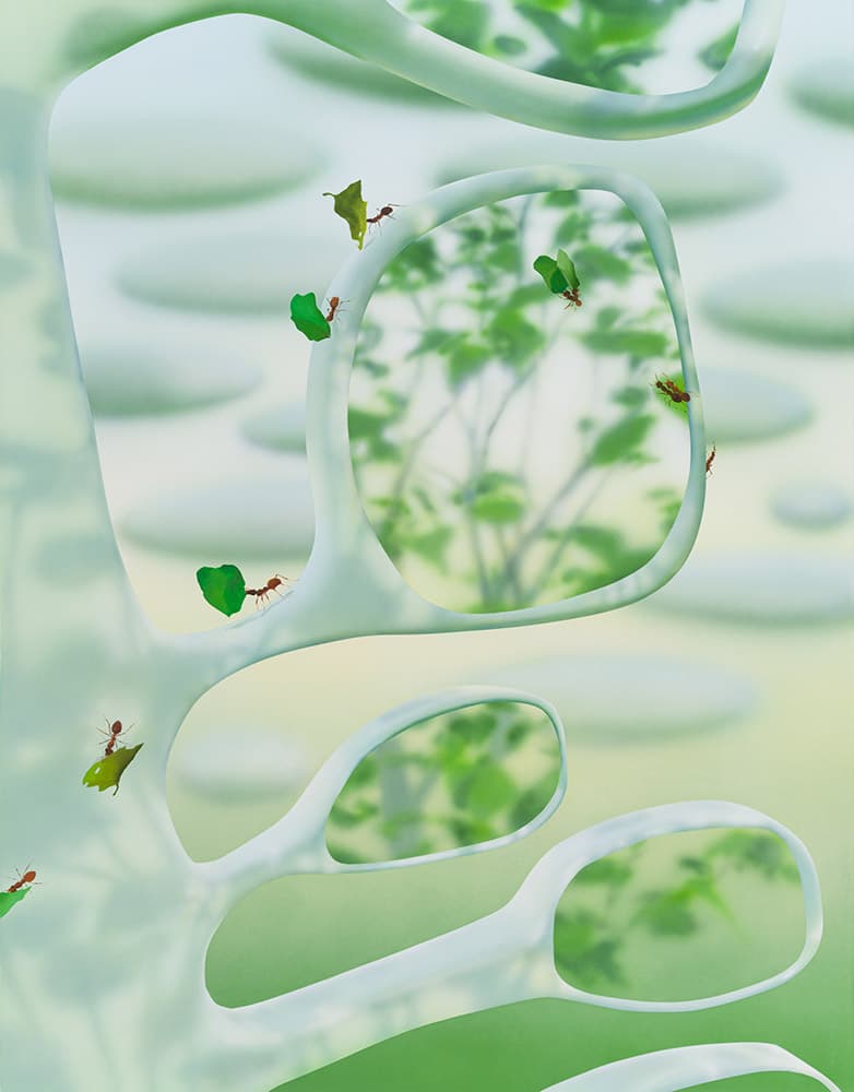 Hyori Cho 조효리  Shades of Green  2022  Acrylic, oil on canvas  116.8 x 91 cm