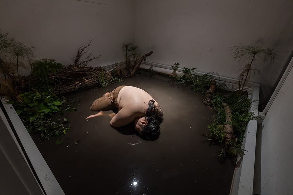 오선영_Paludarium_2022_퍼포먼스_30분
