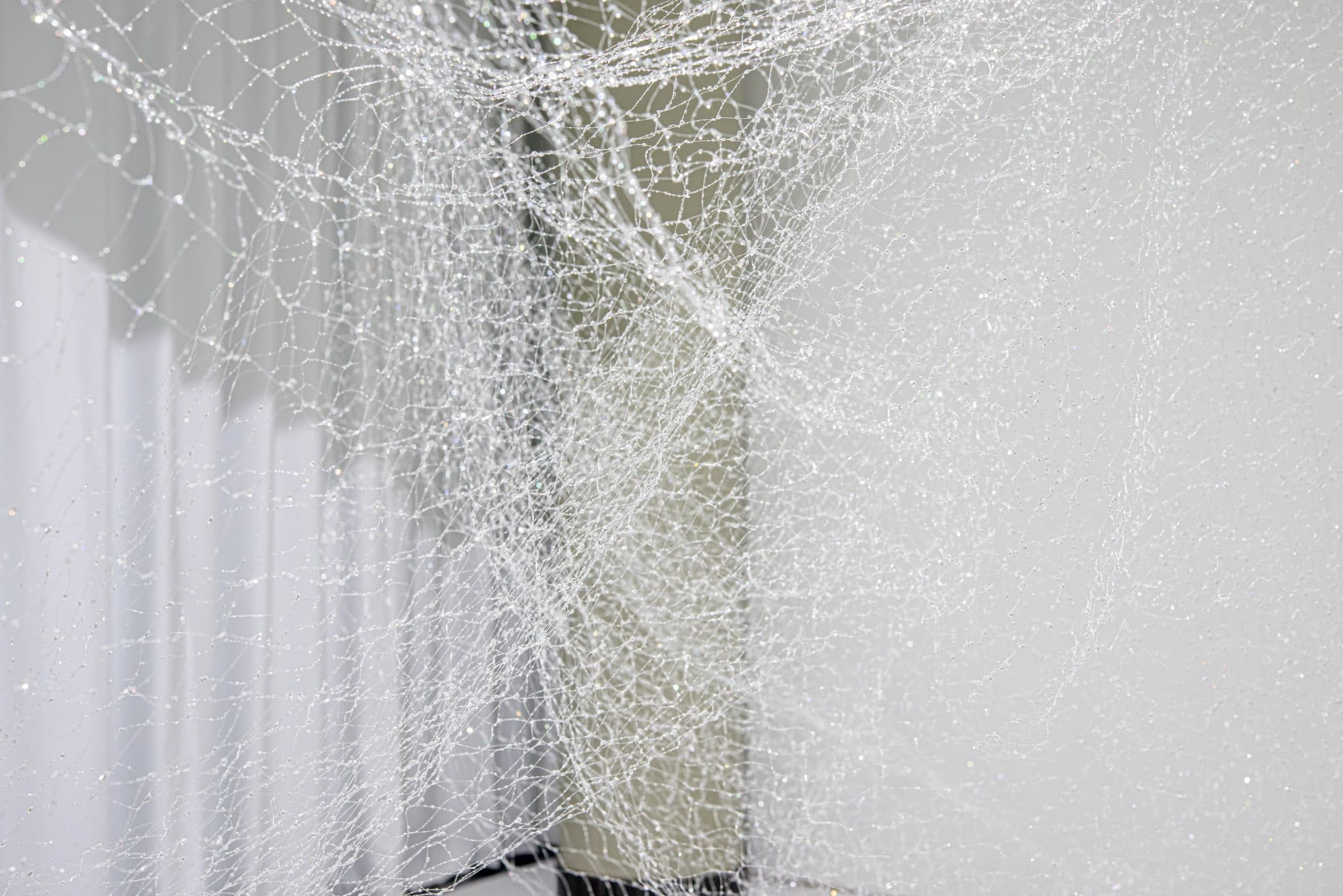 지아지아 치 Jiajia Qi  듣는 자, 먼지 속에서 Who Listens, At Dust 2023 스팟라이트, 나일론 실, 레진, 카펫 Spotlight, nylon thread, resin, carpet 600 x 350 x 320 cm