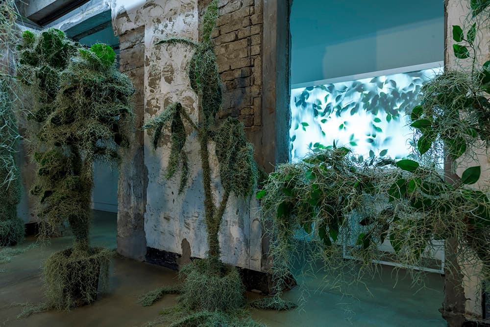 김유정_Floating Island_2021_인조식물, 틸란드시아, 철사_가변설치 ⓒYujung Kim & Art Centre Art Moment