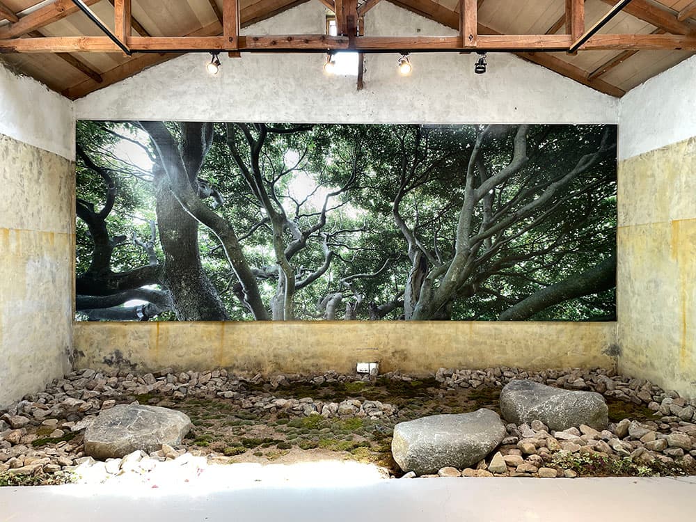 노경, 창선도 왕후박나무 - I, 244x663cm, Digital print, 2021_남해돌창고 내부