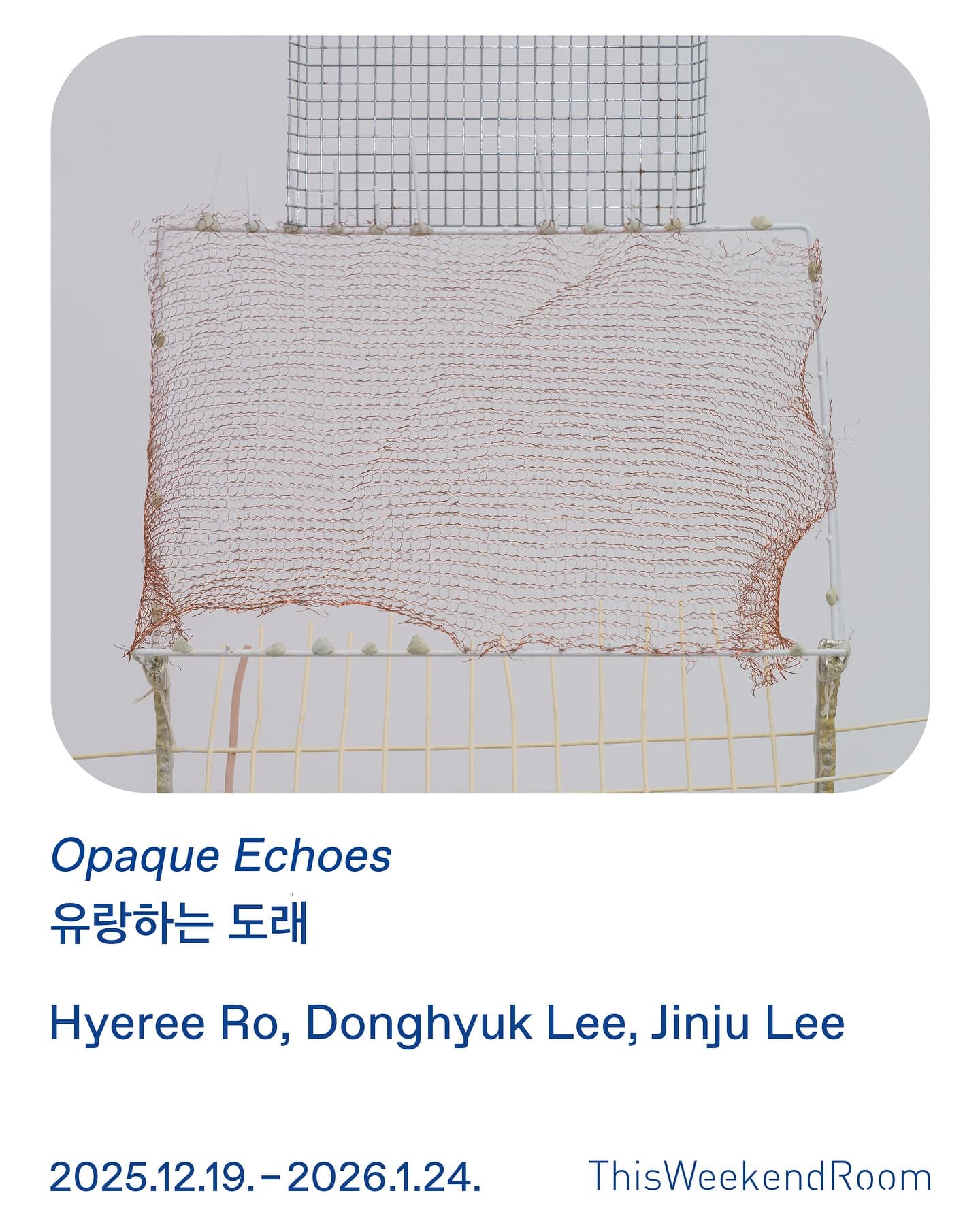 유랑하는 도래 Opaque Echoes 1