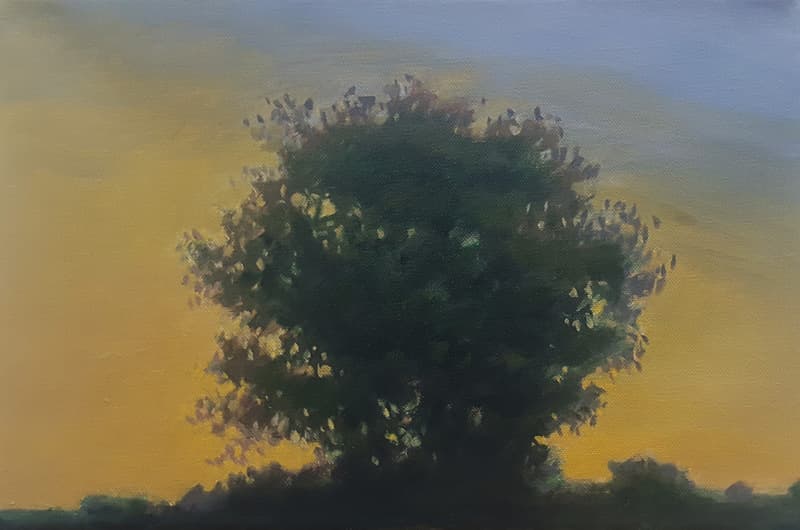 황용진, ML17213_27.3x40.9cm_oil on canvas_2017