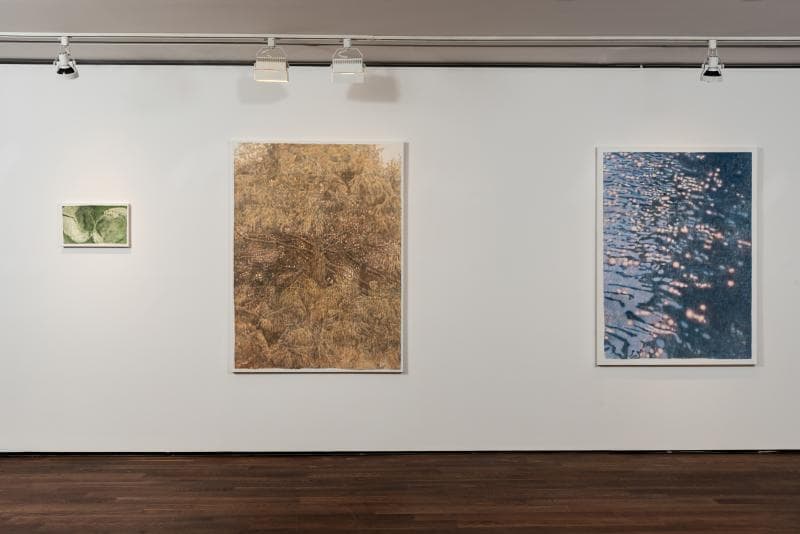 김수호, 신한갤러리 역삼 InSight OnSite 전시 전경, 2019
