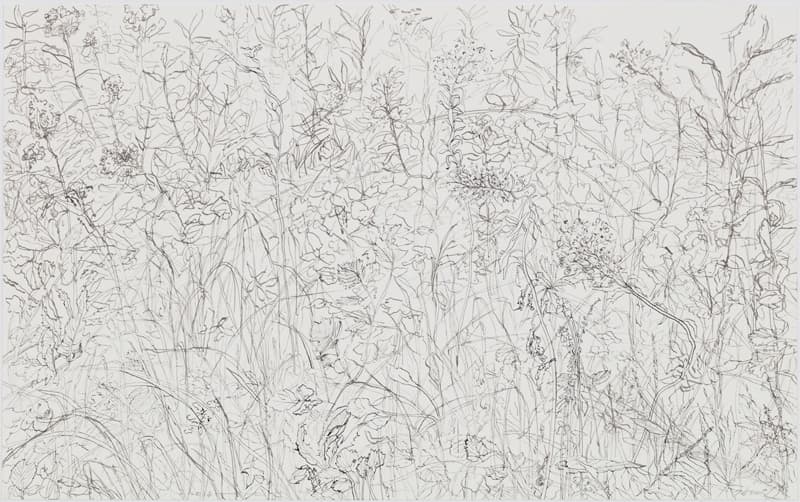 김제민_무심한풍경_종이에 먹_51x81.5cm_2018