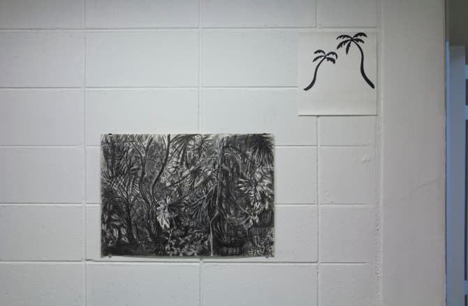 Emily McFarland, (from the top) After Sigmar, Sharpie® on card, 2014  Palm House, Belfast, Charcoal on acid free paper, 2014