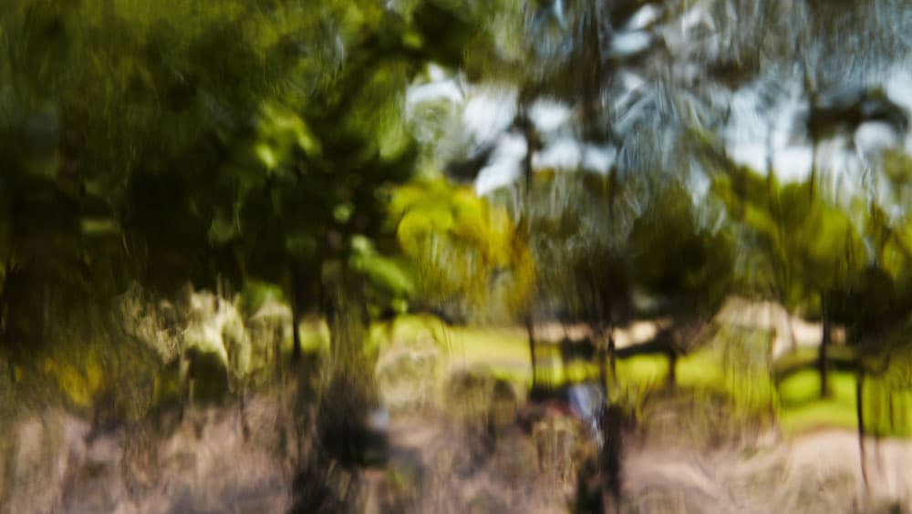 박경태 Dreamwork _ Untitled _ 01 Pigment – Based Inkjet on  Canvas 141x250cm 2015