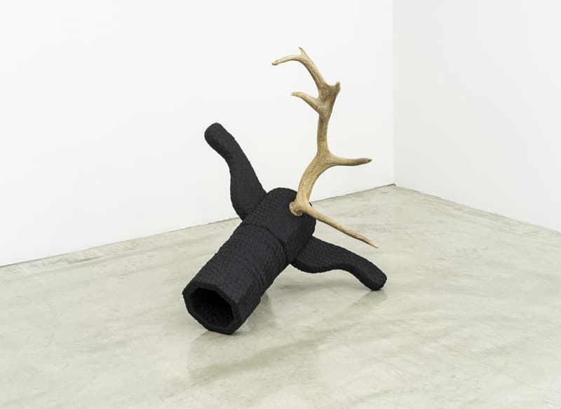 박소영, 뿔나다 angry, 2019, horn, lace fabric, object 98×75×78㎝