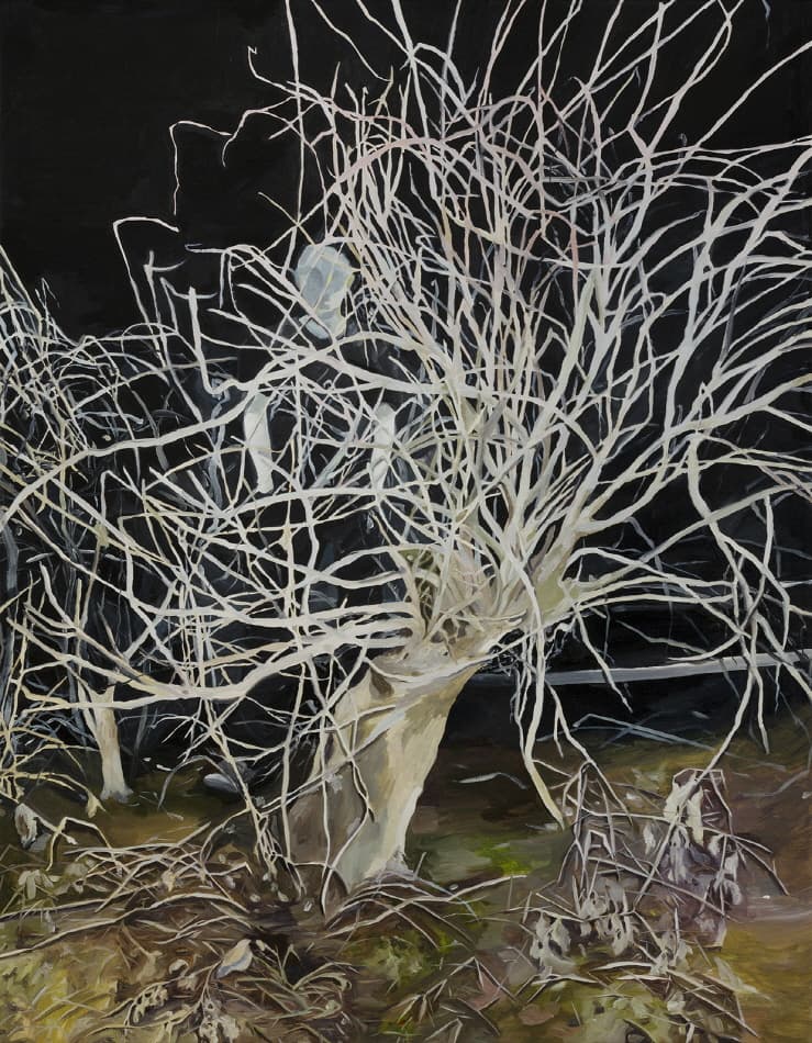 박두리_활동_캔버스에 혼합재료_116.8x91cm_2017