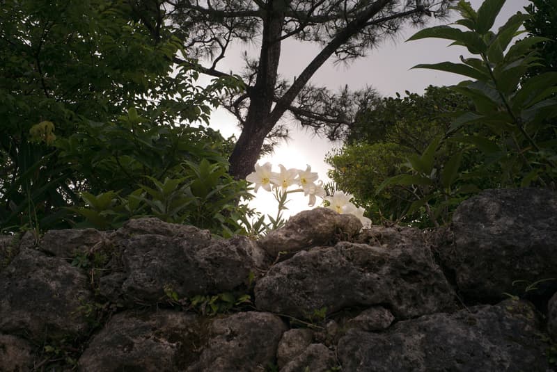 한금선 _ okinawa_book_053_미군기지_2395_okinawa_05142016