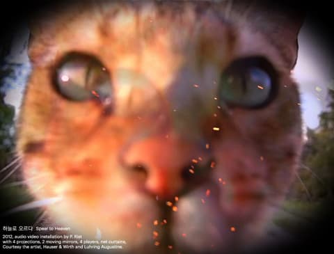 ⓒ 피필로티 리스트 Pipilotti Rist