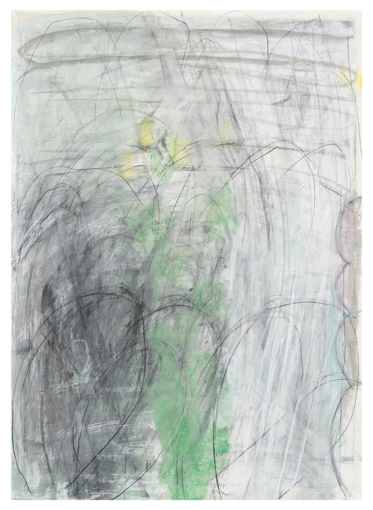 장현주, weeds 27, 장지에 먹/목탄/분채, 68x50cm, 2017