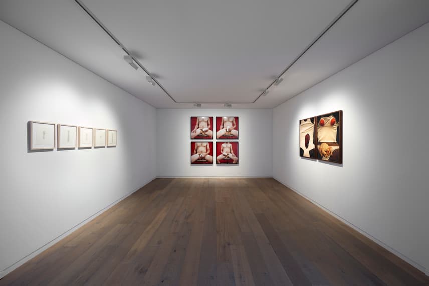 View of SARAH LUCAS: Supersensible, Works 1991-2012 Photography by SangTae Kim