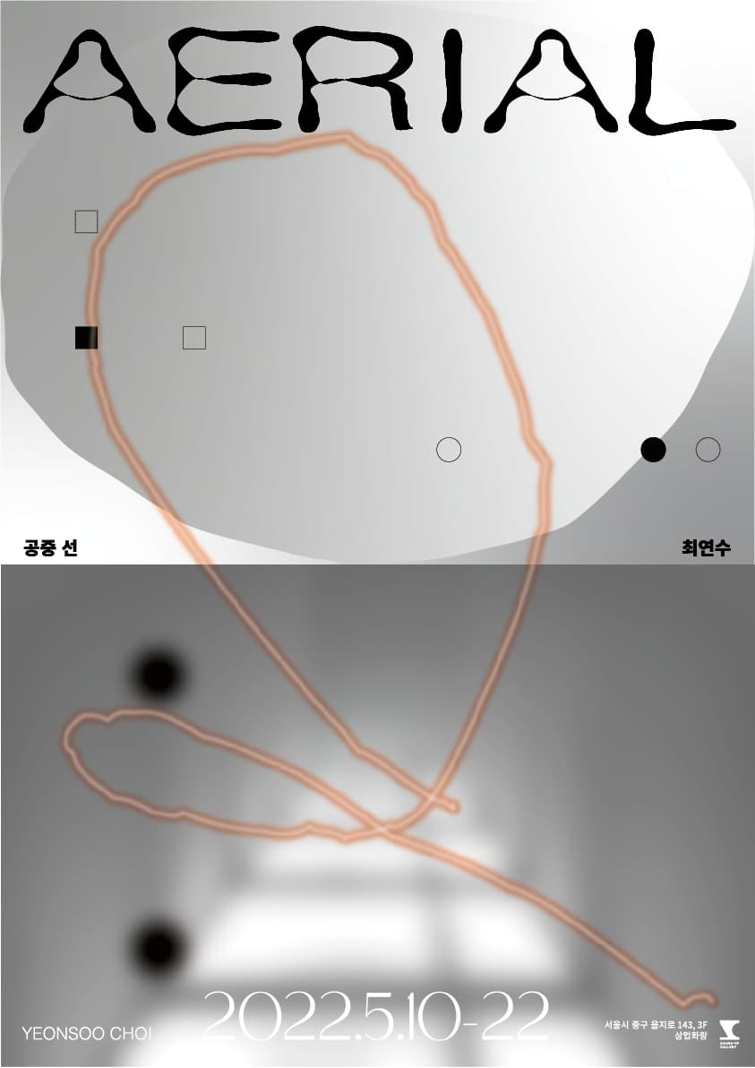 최연수 개인전: 공중선 Arial 1