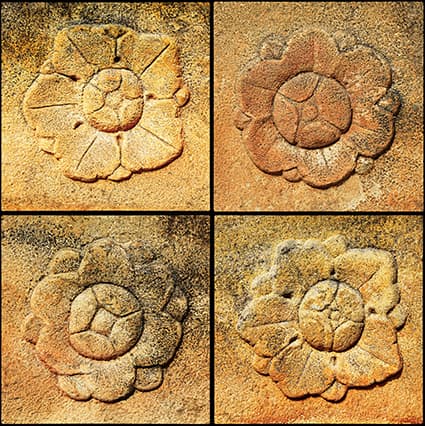 최수정 개인전 : Millennium Flowers 2