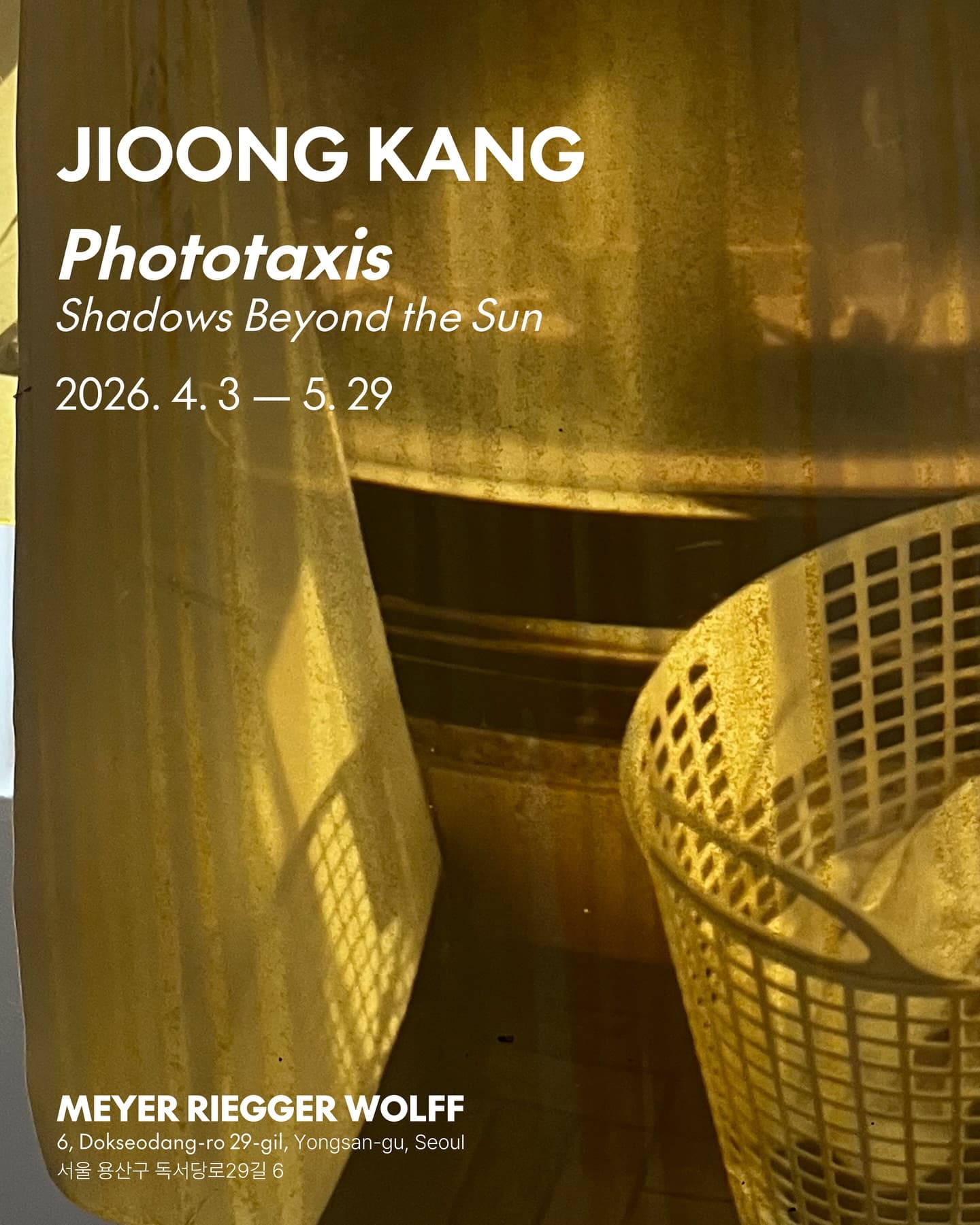 강지웅 개인전: 포토택시스 – 해 너머 그림자 Jioong Kang: Phototaxis Shadows Beyond the Sun 1