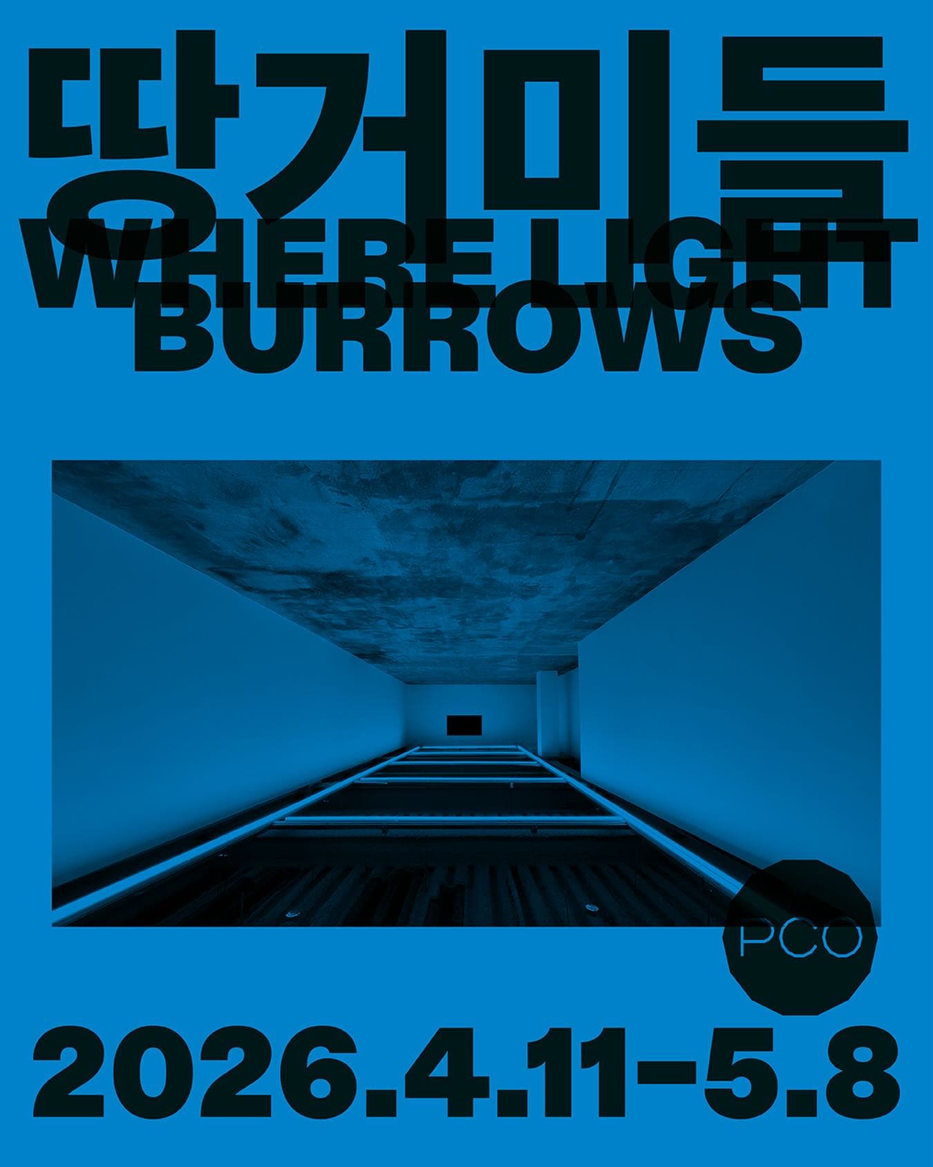 땅거미들 Where Light Burrows 1