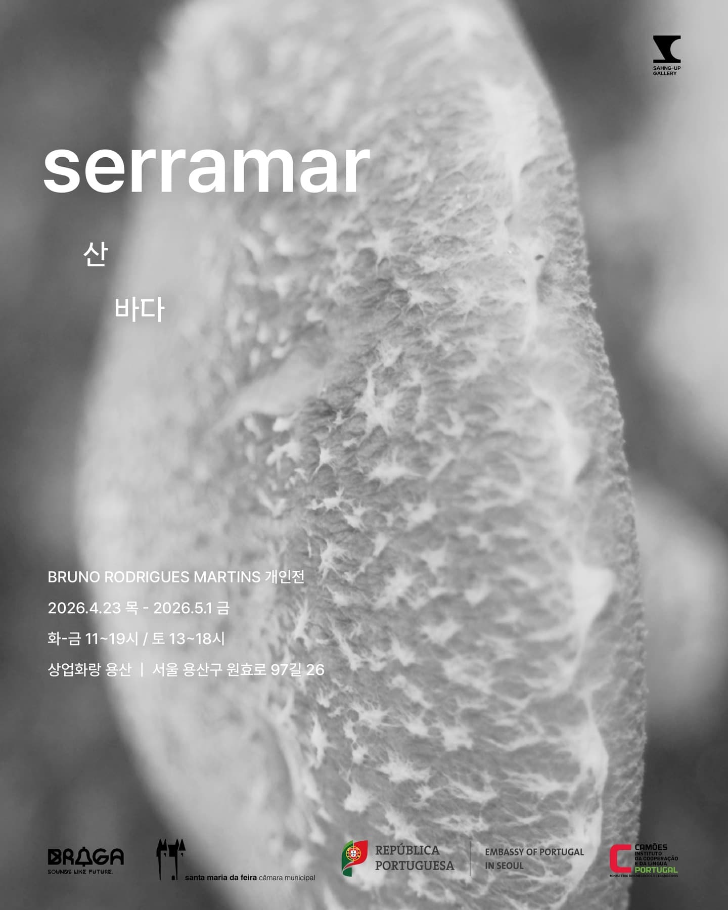 Bruno Rodrigues Martins: serramar 1