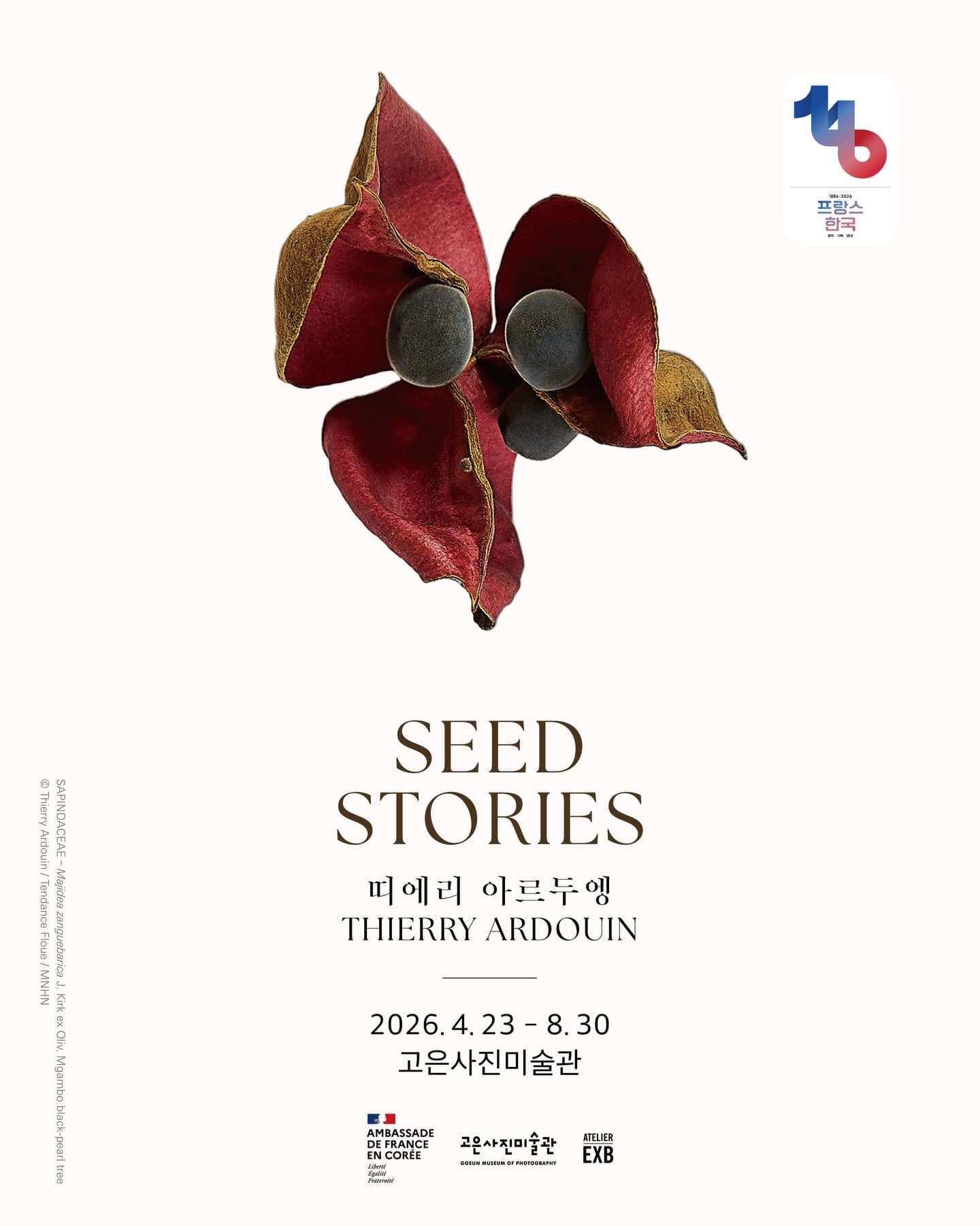 띠에리 아르두엥: Seed Stories 1