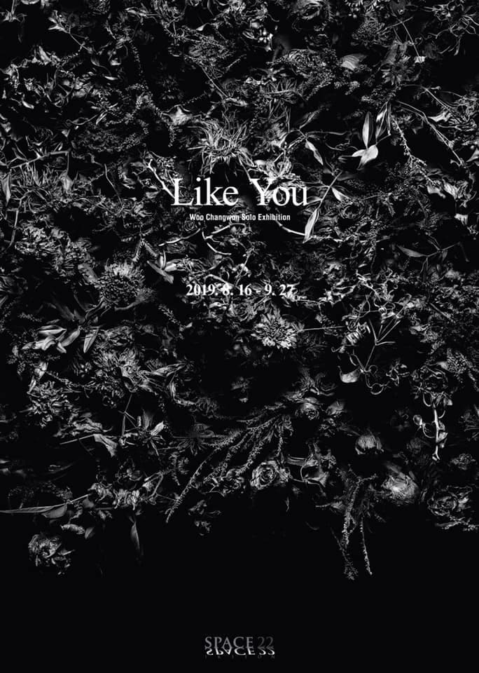 우창원 개인전 : 너와 같다 like you 1