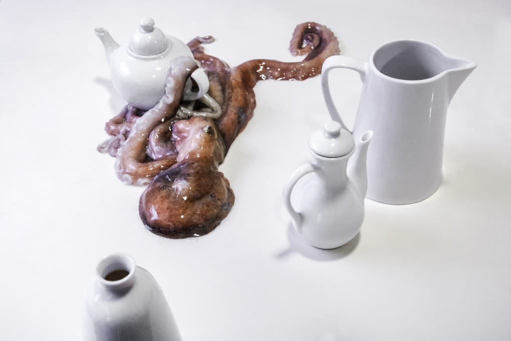 정물화 : 살아있는 것에 대한 소고 II Still life : contemplation of living things II Photo, Pigment Print 90x60cm 2009