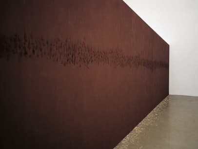 The Wishing Wall Dimensions variable Wall, phosphorus,matches Installation view at  Galerie Ghislaine Hussenot,  Paris, France, 1995 Collection of the