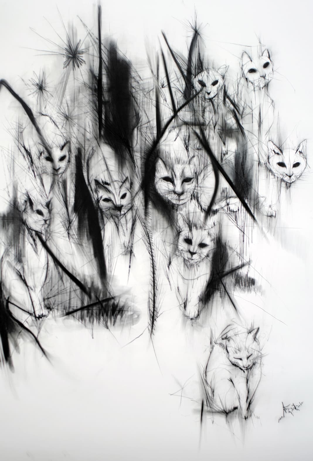 박미례 <The stray cats> 2009 80.0×100.0cm 종이 위에 콘테