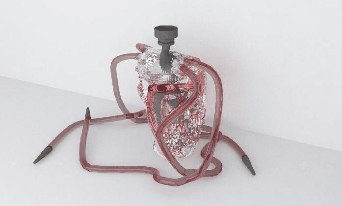 마말리 샤파히, 〈I’m not an artist, I’m just a heart of coal〉, 2017