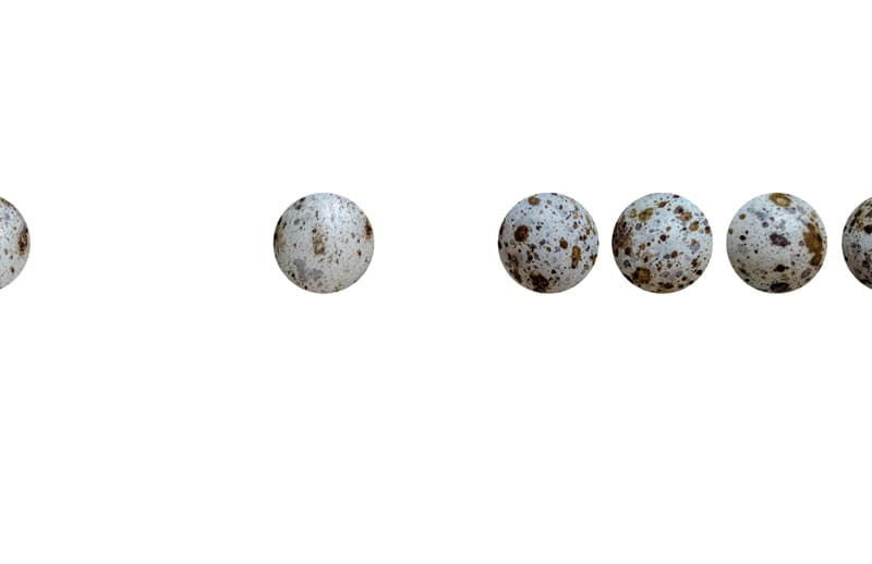 여름 시계, 2018, 디지털 프린트, 18.2 x 25.7 cm, 62EA, 가변설치