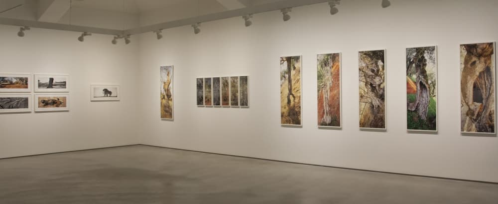 브뤼노 레끼야르. 형태의 시 Bruno Réquillart. Poétique des formes 4